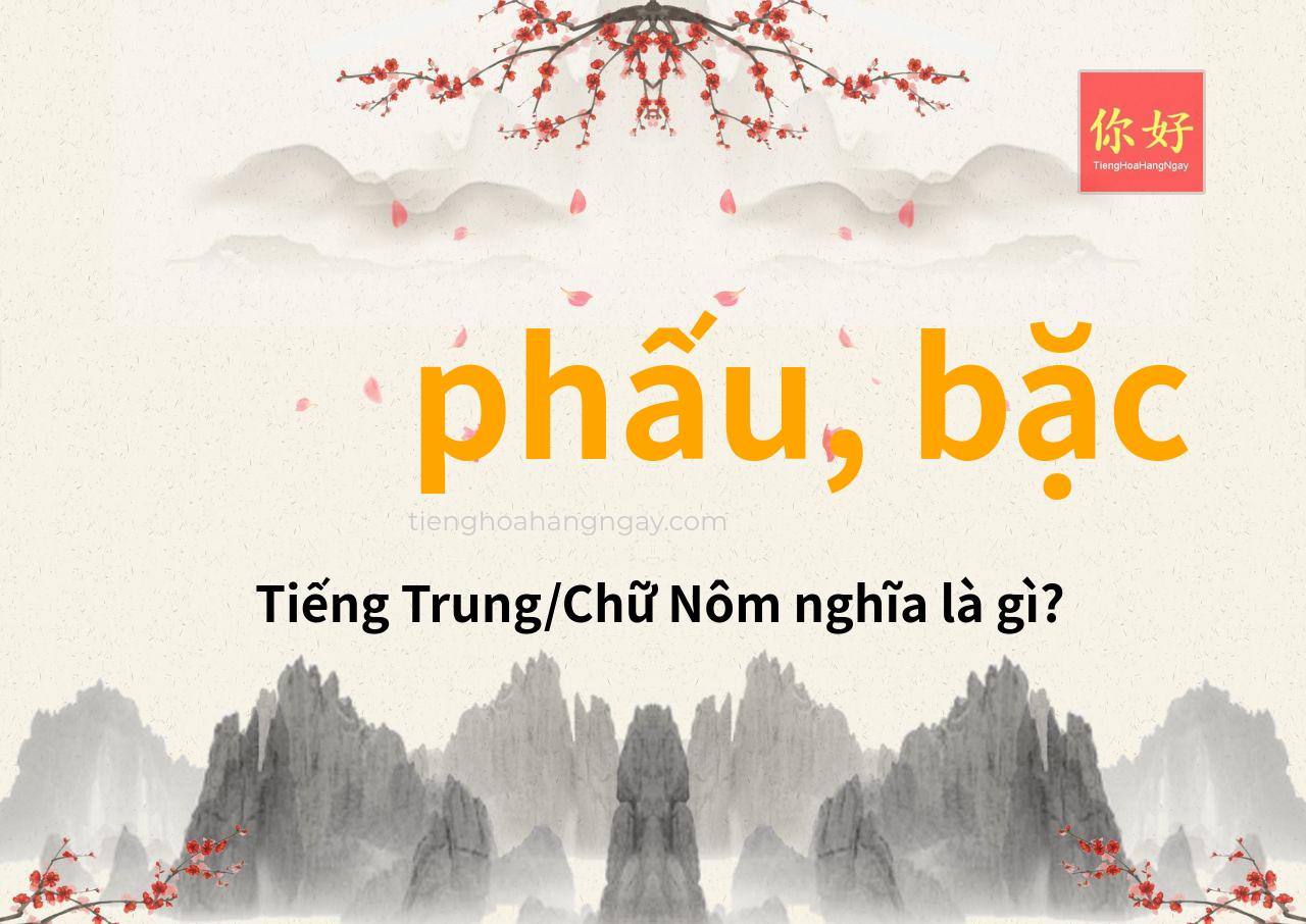 phấu, bặc tiếng Trung là gì?